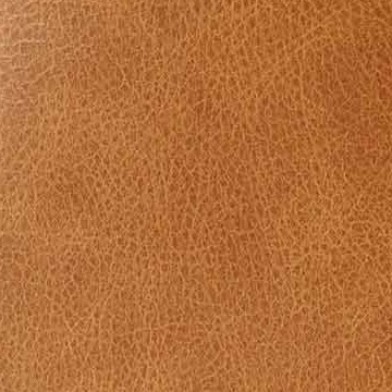 OAKS LEATHER STOOL / ACME Furniture（アクメファニチャー） / スツール / col_ACM10217MBR.jpg