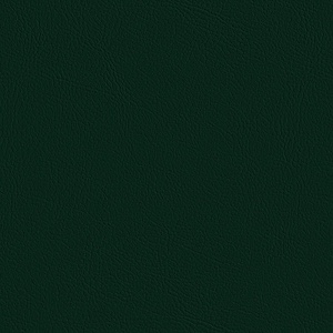 Flex Executive Intermediate back armchair SO1845 4star Polished Valencia / Andreu World(アンドリューワールド) / オフィスチェア・ワークチェア / col_AND10057GRN.jpg