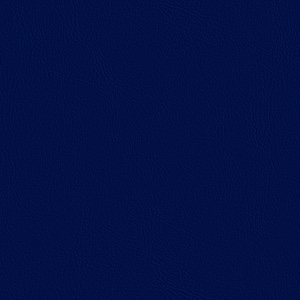 Flex Executive Intermediate back armchair SO1860 5casters Black Valencia / Andreu World（アンドリューワールド） / オフィスチェア・ワークチェア / col_AND10062BLU.jpg