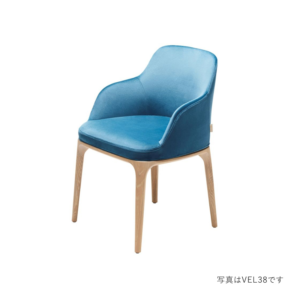 Roo ダイニングチェア アーム ラスティックベース VEL / ARUNAi（アルナイ） / ダイニングチェア / ANI10031DBR_ma.jpg