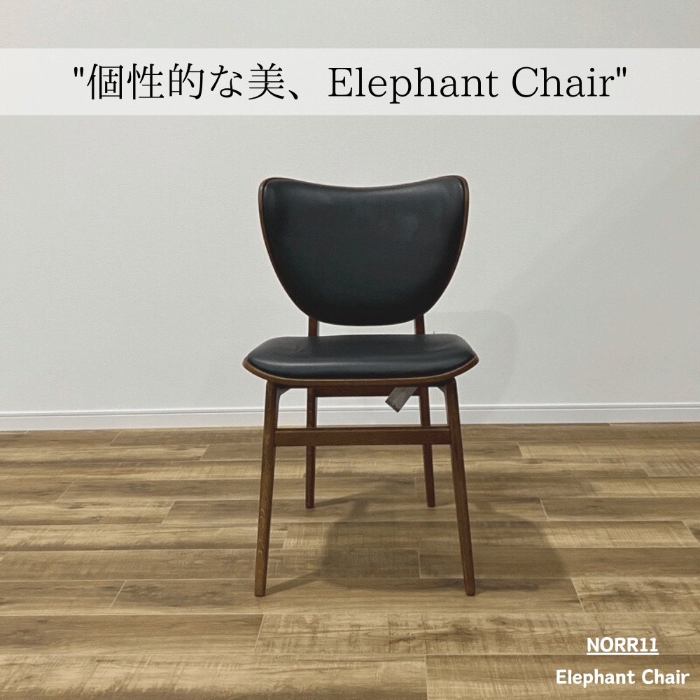 NORR11 ELEPHANT CHAIR OHW / NORR11（ノアイレブン） / ダイニングチェア / AWN30184_dt_05.jpg