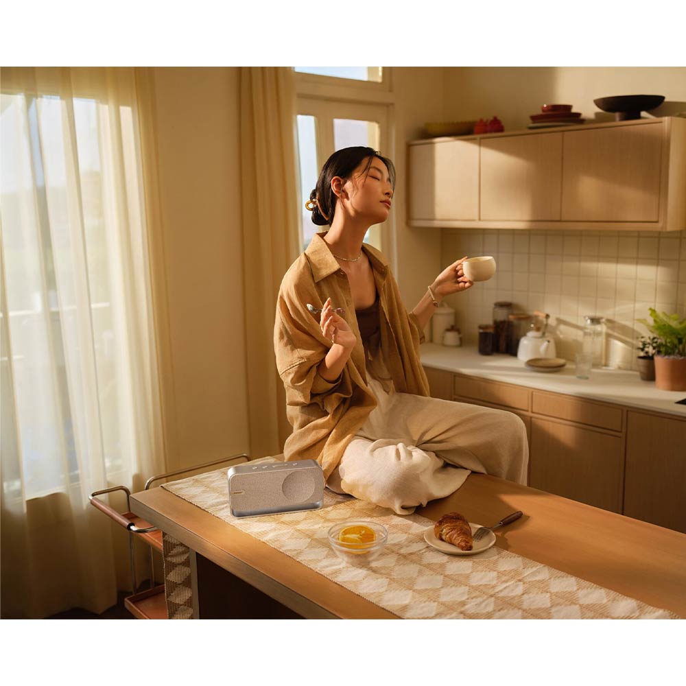 Bose SoundLink Home Bluetooth Speaker / BOSE（ボーズ） / オーディオ・スピーカー / BOS10018_dt_08.jpg