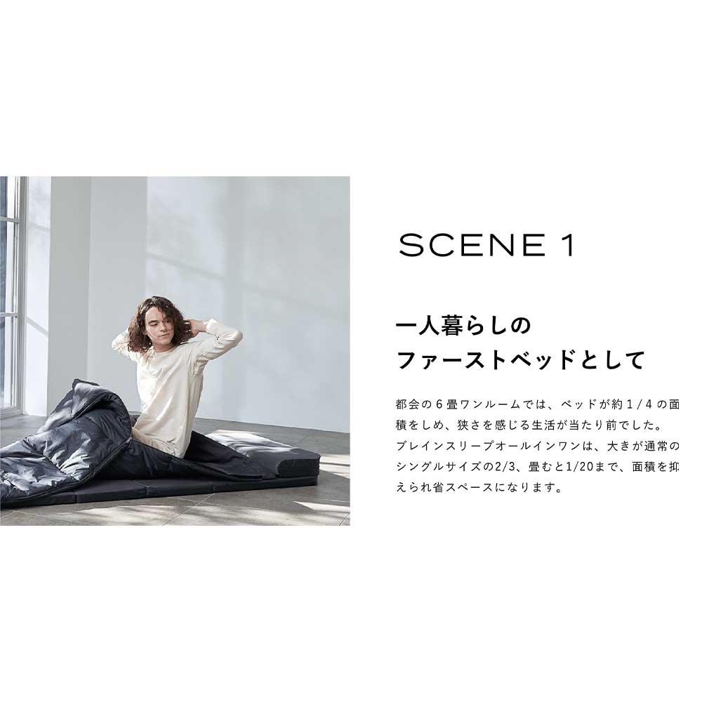 ブレインスリープ ALL IN ONE / BRAIN SLEEP（ブレインスリープ） / シングルマットレス / BRA10033_dt_11.jpg