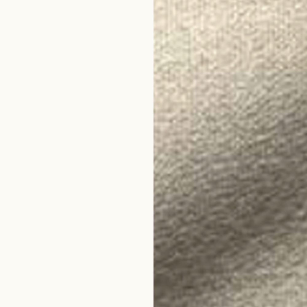 COR Alvo 854 Shell/Base(white) / COR（コア） / ダイニングチェア / col_CCR10025BEG.jpg