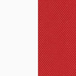 Alvo bar chair SH710 862 Shell/Base(white)_COR / COR（コア） / カウンターチェア・バーチェア / col_CCR10029RED.jpg