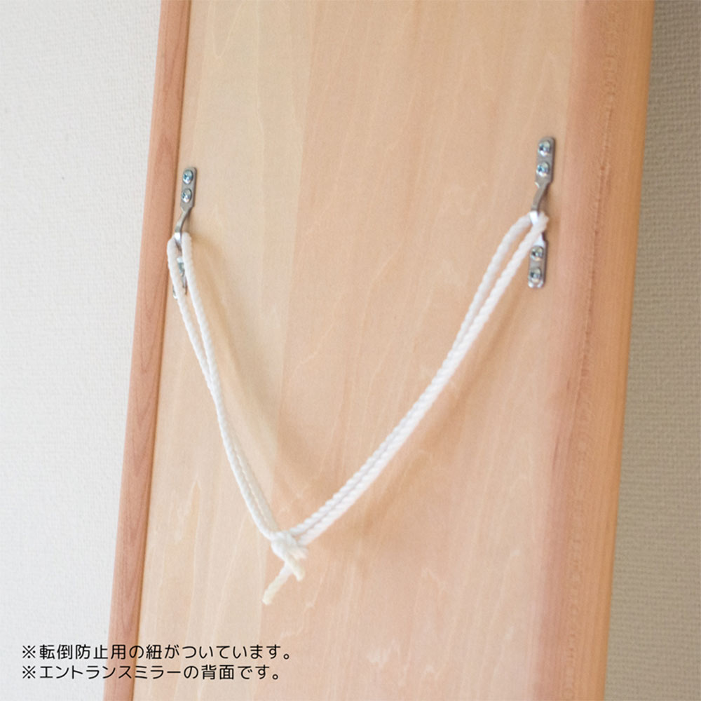 cosine エントランスミラー ウォルナット / cosine（コサイン） / 壁掛けミラー・壁掛け鏡・鏡台・スタンドミラー / COS10004_dt_01.jpg