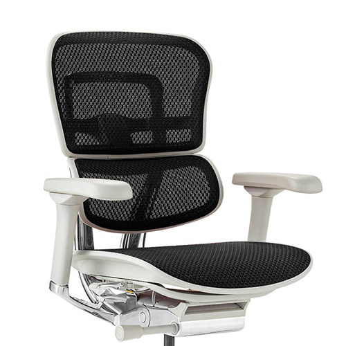 Ergohuman PRO2 Low Type GY frame / Ergohuman（エルゴヒューマン） / 高機能チェア / col_EHM10023BLK.jpg