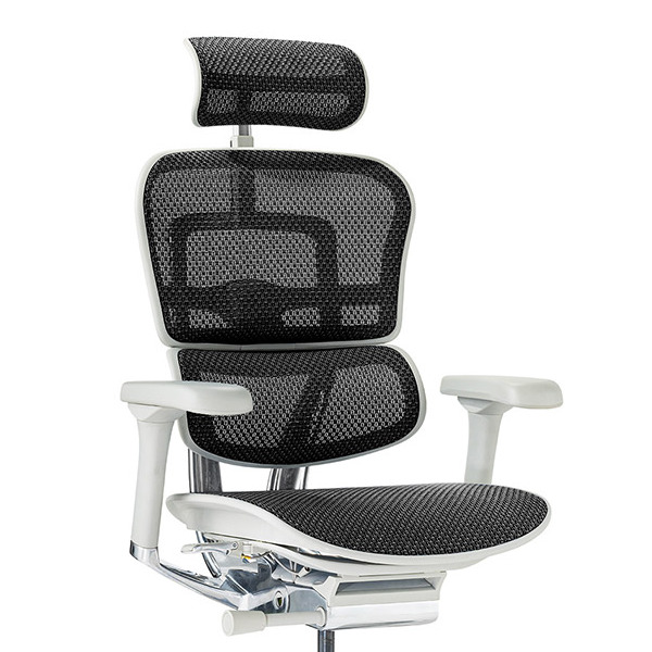 Ergohuman PRO2 High Type GY frame / Ergohuman（エルゴヒューマン） / 高機能チェア / col_EHM10025BLK.jpg
