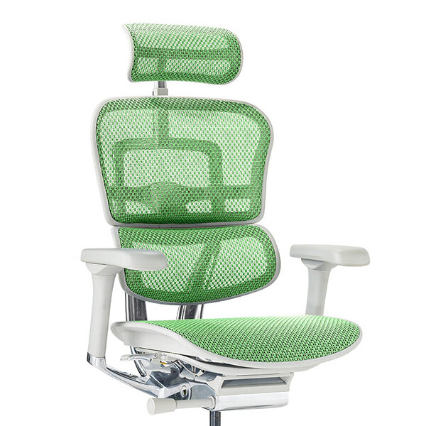 Ergohuman PRO2 High Type GY frame / Ergohuman（エルゴヒューマン） / 高機能チェア / col_EHM10025GRN.jpg