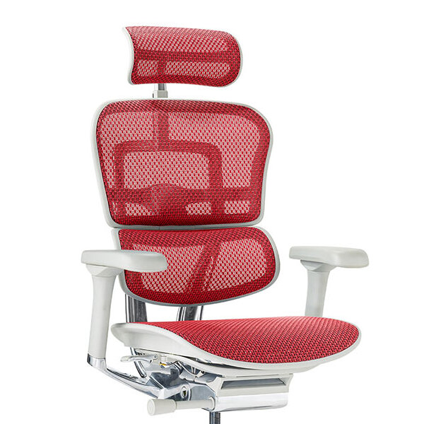 Ergohuman PRO2 High Type GY frame / Ergohuman（エルゴヒューマン） / 高機能チェア / col_EHM10025RED.jpg