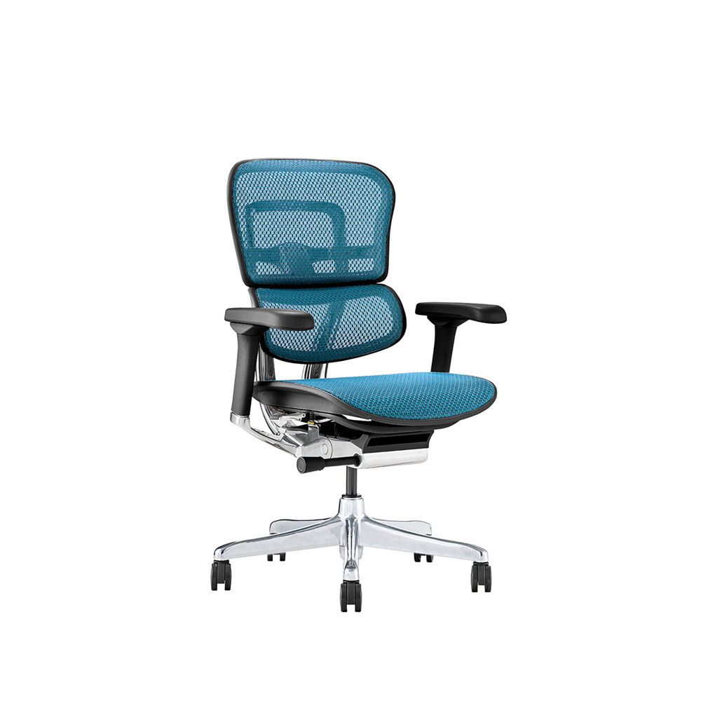 Ergohuman PRO2 Low Type DR BK frame / Ergohuman(エルゴヒューマン) / 高機能チェア / EHM10028BLU_ma.jpg