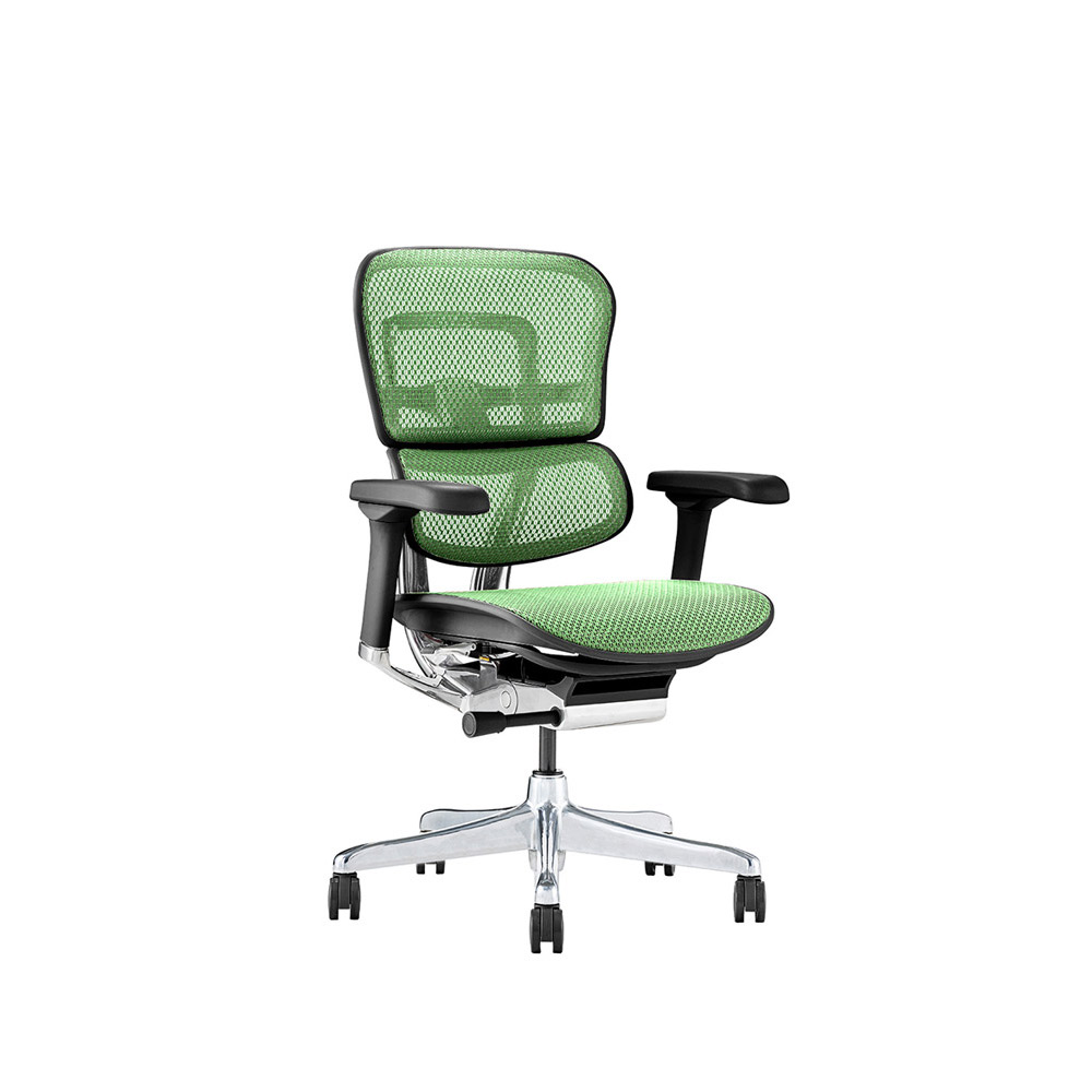 Ergohuman PRO2 Low Type DR BK frame / Ergohuman(エルゴヒューマン) / 高機能チェア / EHM10028GRN_ma.jpg