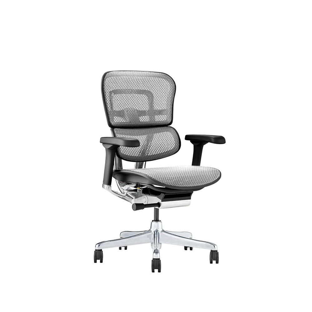 Ergohuman PRO2 Low Type DR BK frame / Ergohuman(エルゴヒューマン) / 高機能チェア / EHM10028WHT_ma.jpg
