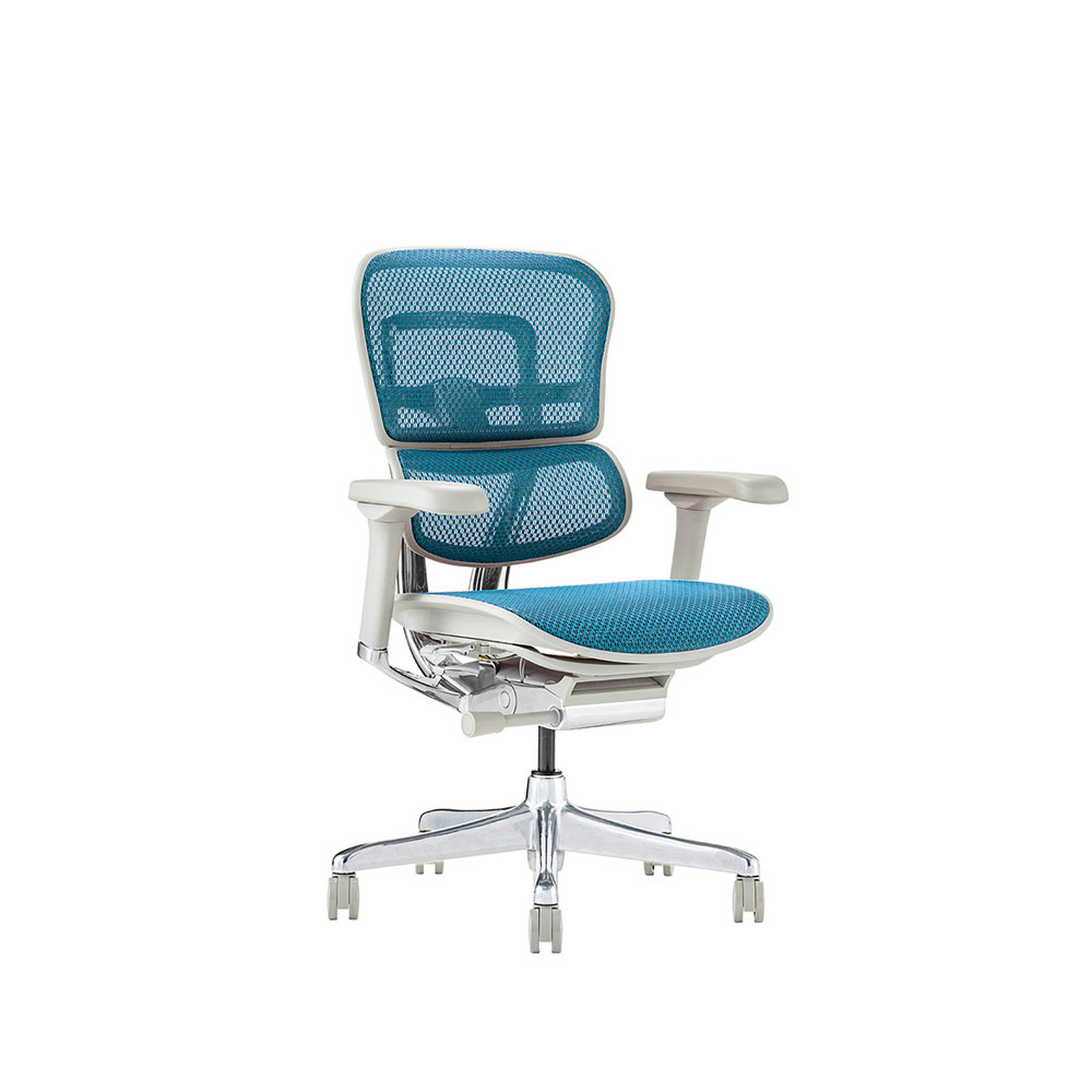 Ergohuman PRO2 Low Type DR GY frame / Ergohuman(エルゴヒューマン) / 高機能チェア / EHM10029BLU_ma.jpg