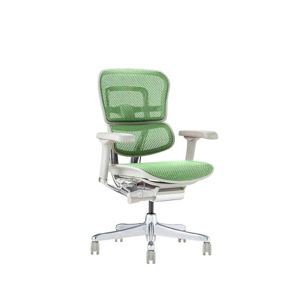 Ergohuman PRO2 Low Type DR GY frame / Ergohuman(エルゴヒューマン) / 高機能チェア / EHM10029GRN_ma.jpg
