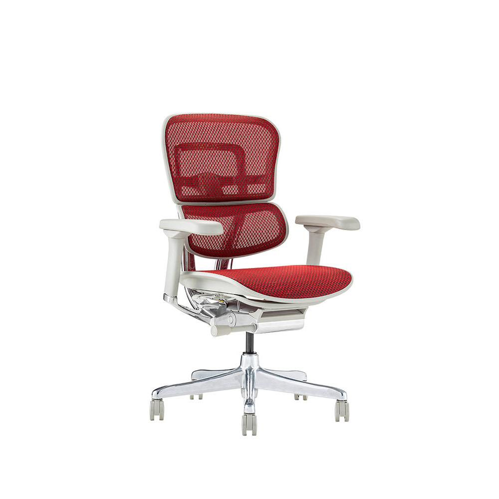 Ergohuman PRO2 Low Type DR GY frame / Ergohuman(エルゴヒューマン) / 高機能チェア / EHM10029RED_ma.jpg
