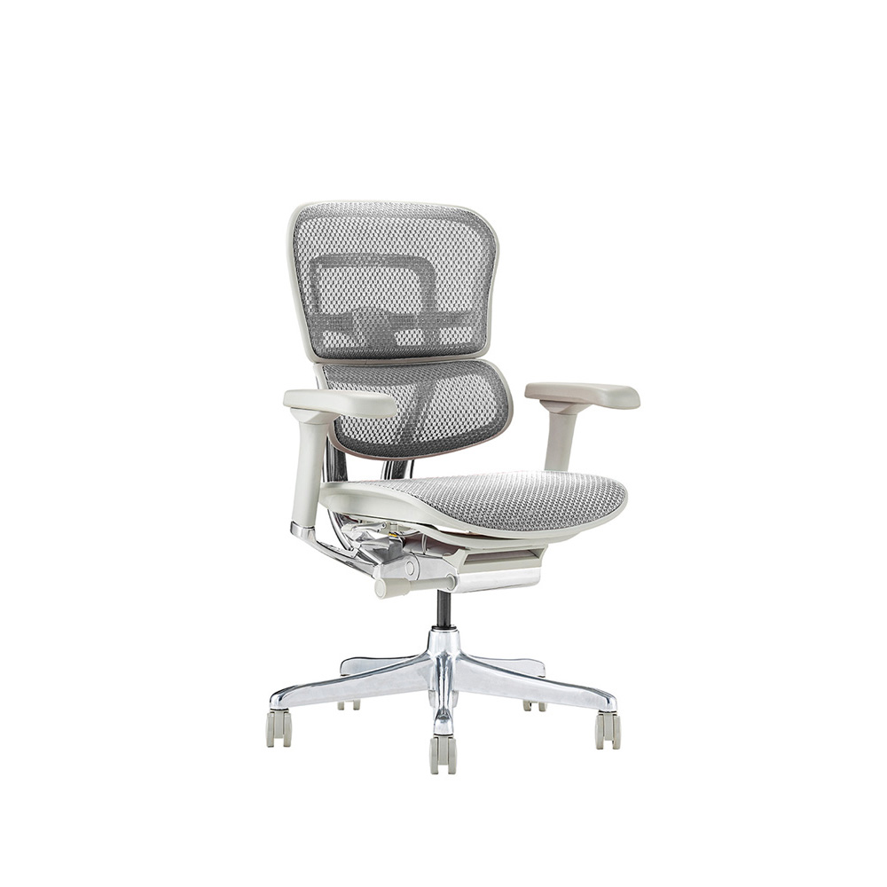 Ergohuman PRO2 Low Type DR GY frame / Ergohuman(エルゴヒューマン) / 高機能チェア / EHM10029WHT_ma.jpg