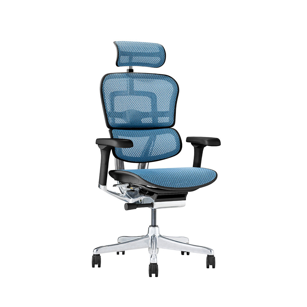Ergohuman PRO2 High Type DR BK frame / Ergohuman(エルゴヒューマン) / 高機能チェア / EHM10030BLU_ma.jpg