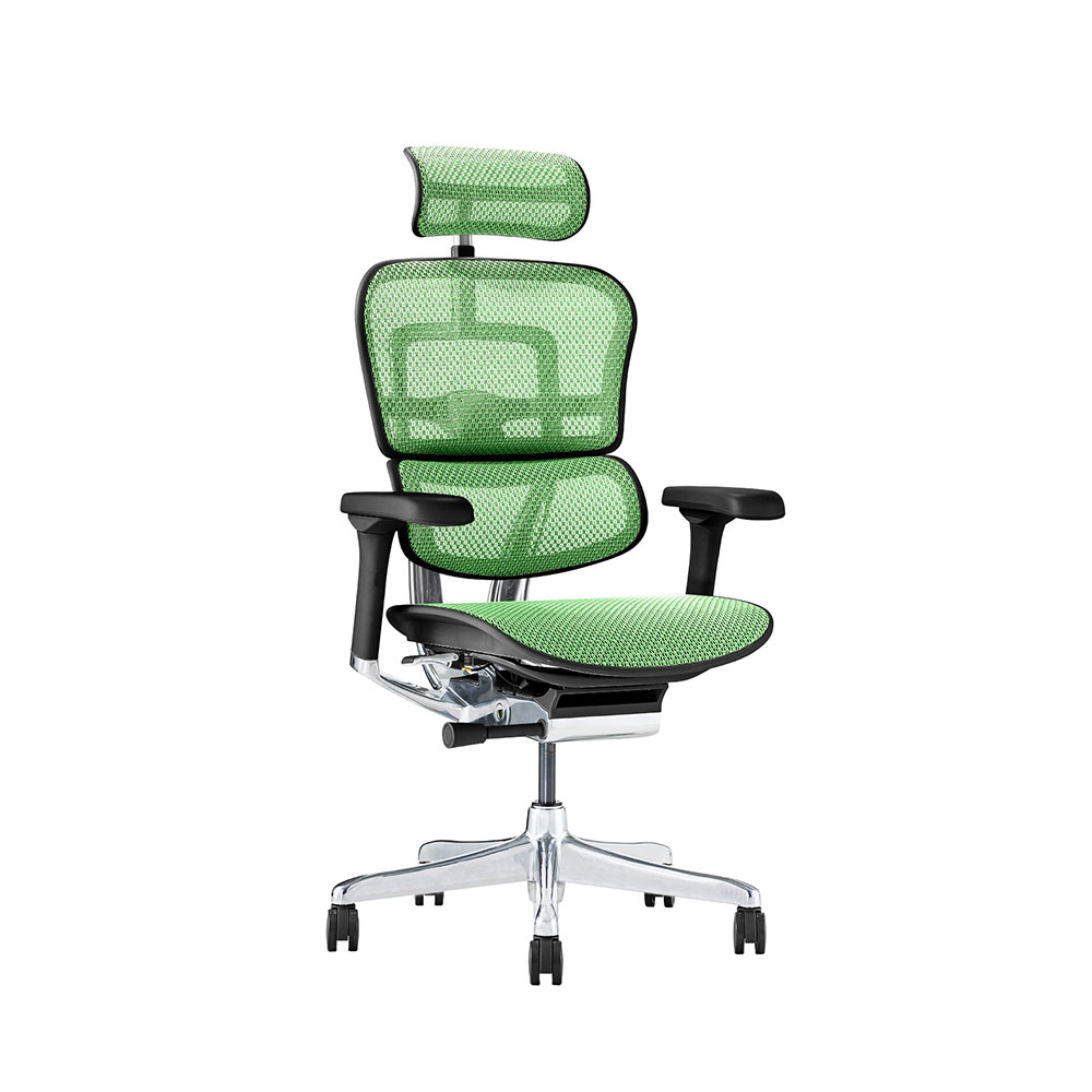 Ergohuman PRO2 High Type DR BK frame / Ergohuman(エルゴヒューマン) / 高機能チェア / EHM10030GRN_ma.jpg