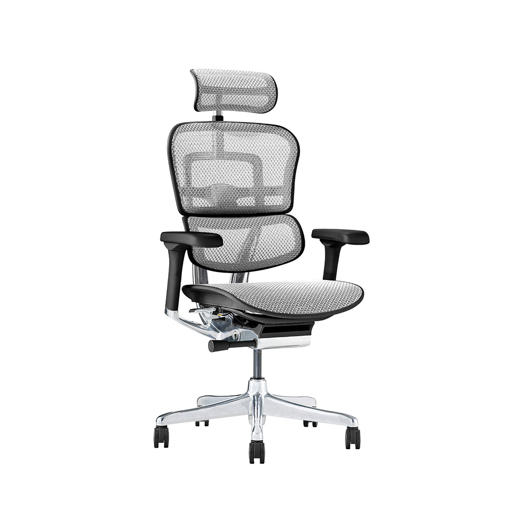 Ergohuman PRO2 High Type DR BK frame / Ergohuman(エルゴヒューマン) / 高機能チェア / EHM10030WHT_ma.jpg