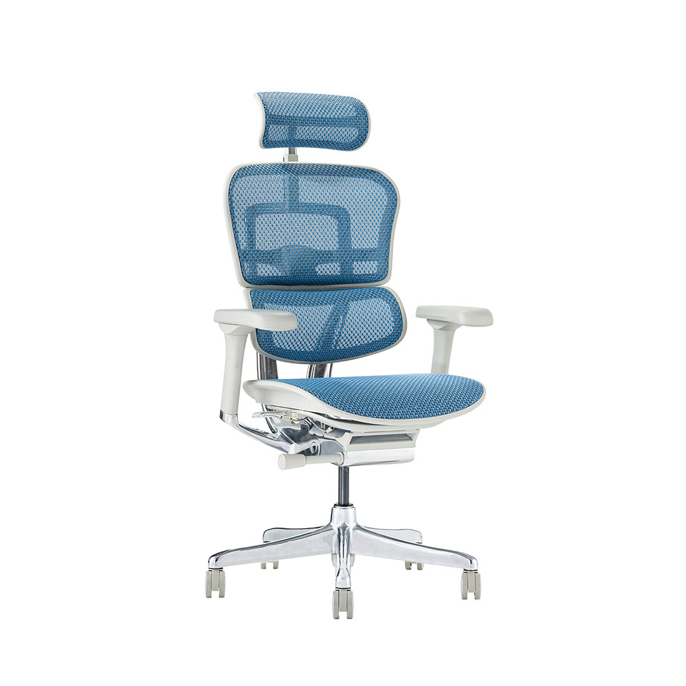 Ergohuman PRO2 High Type DR GY frame / Ergohuman(エルゴヒューマン) / 高機能チェア / EHM10031BLU_ma.jpg