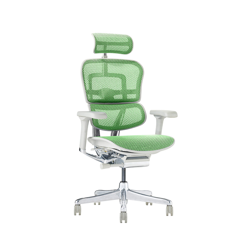 Ergohuman PRO2 High Type DR GY frame / Ergohuman(エルゴヒューマン) / 高機能チェア / EHM10031GRN_ma.jpg