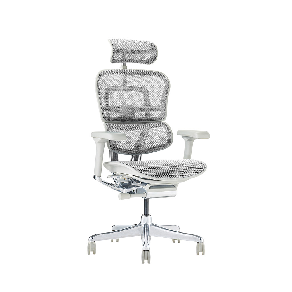 Ergohuman PRO2 High Type DR GY frame / Ergohuman(エルゴヒューマン) / 高機能チェア / EHM10031WHT_ma.jpg