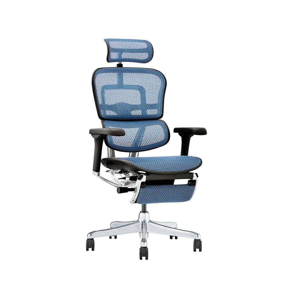 Ergohuman PRO2 Ottoman DR BK frame / Ergohuman(エルゴヒューマン) / 高機能チェア / EHM10032BLU_ma.jpg