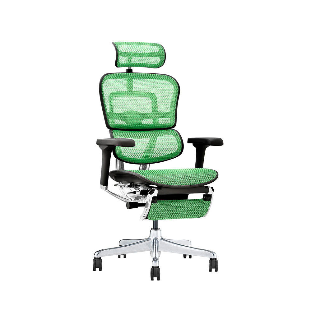 Ergohuman PRO2 Ottoman DR BK frame / Ergohuman(エルゴヒューマン) / 高機能チェア / EHM10032GRN_ma.jpg