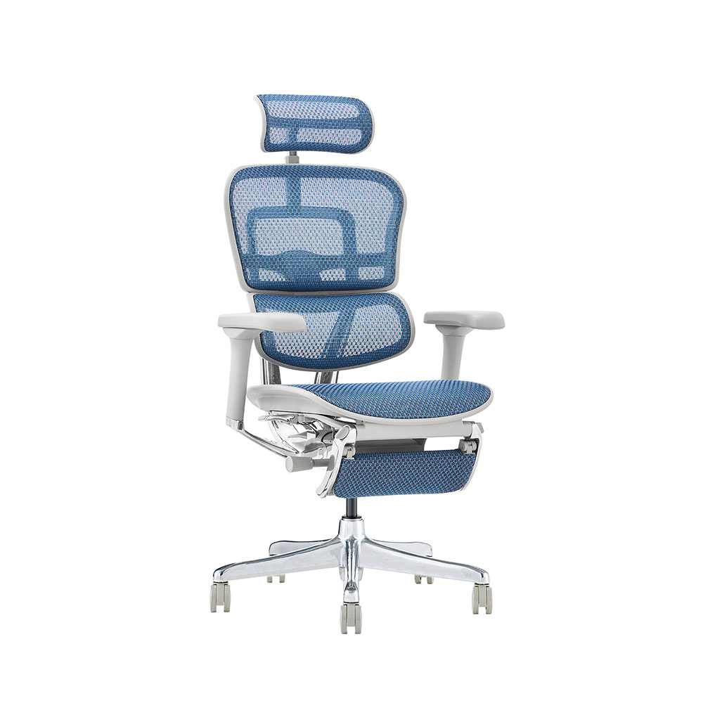 Ergohuman PRO2 Ottoman DR GY frame / Ergohuman(エルゴヒューマン) / 高機能チェア / EHM10033BLU_ma.jpg