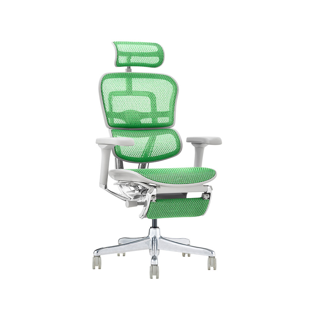 Ergohuman PRO2 Ottoman DR GY frame / Ergohuman(エルゴヒューマン) / 高機能チェア / EHM10033GRN_ma.jpg