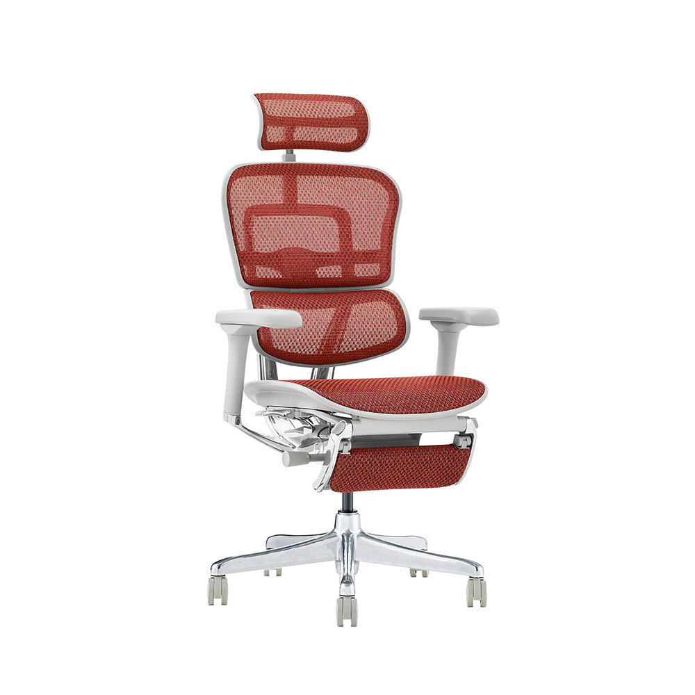 Ergohuman PRO2 Ottoman DR GY frame / Ergohuman(エルゴヒューマン) / 高機能チェア / EHM10033RED_ma.jpg