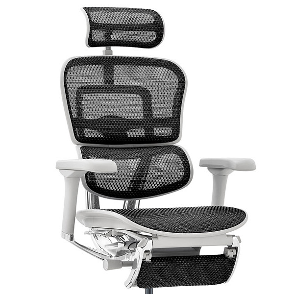 Ergohuman PRO2 Ottoman DR GY frame / Ergohuman（エルゴヒューマン） / 高機能チェア / col_EHM10033BLK.jpg