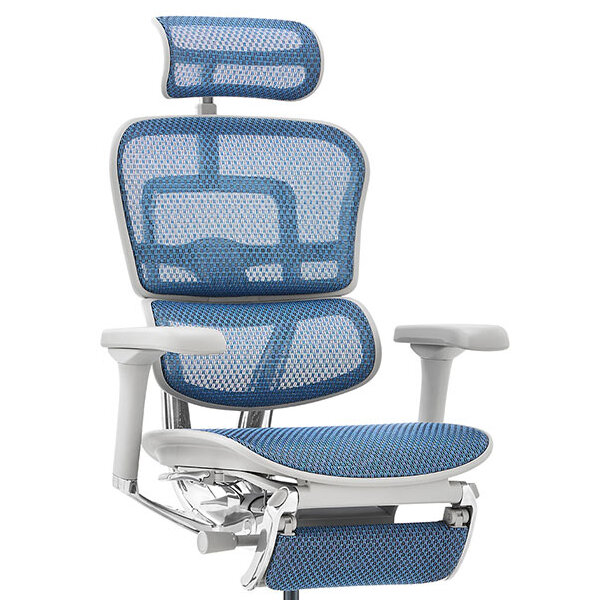 Ergohuman PRO2 Ottoman DR GY frame / Ergohuman（エルゴヒューマン） / 高機能チェア / col_EHM10033BLU.jpg