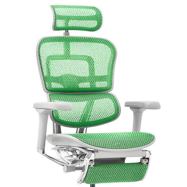 Ergohuman PRO2 Ottoman DR GY frame / Ergohuman（エルゴヒューマン） / 高機能チェア / col_EHM10033GRN.jpg