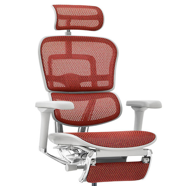 Ergohuman PRO2 Ottoman DR GY frame / Ergohuman（エルゴヒューマン） / 高機能チェア / col_EHM10033RED.jpg