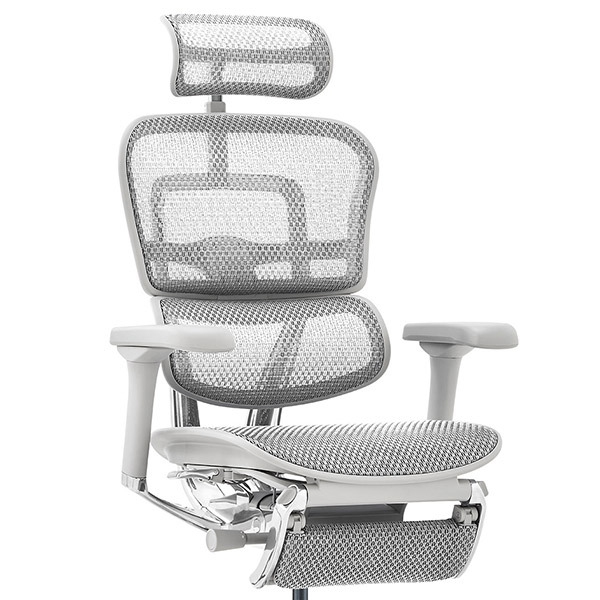 Ergohuman PRO2 Ottoman DR GY frame / Ergohuman（エルゴヒューマン） / 高機能チェア / col_EHM10033WHT.jpg
