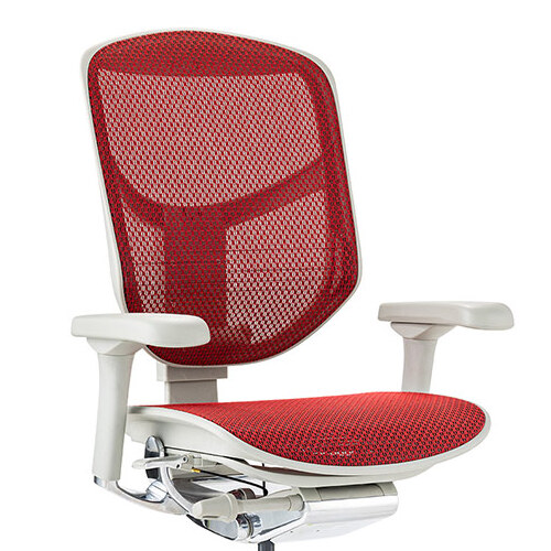 Ergohuman ENJOY2 Low Type GY frame / Ergohuman（エルゴヒューマン） / 高機能チェア / col_EHM90019RED.jpg