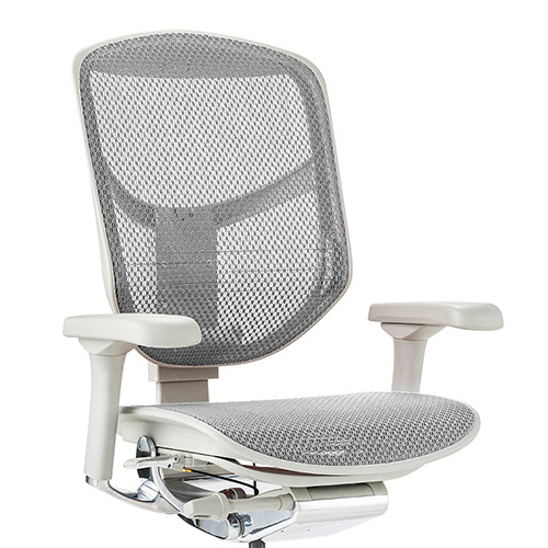 Ergohuman ENJOY2 Low Type GY frame / Ergohuman（エルゴヒューマン） / 高機能チェア / col_EHM90019WHT.jpg