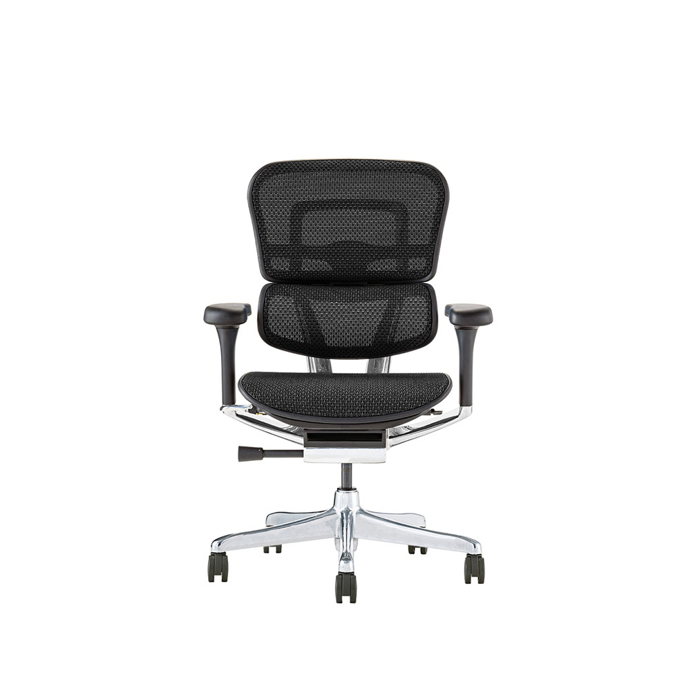 Ergohuman PRO2 Low Type BK frame / Ergohuman（エルゴヒューマン） / 高機能チェア / EHM90022_dt_01.jpg