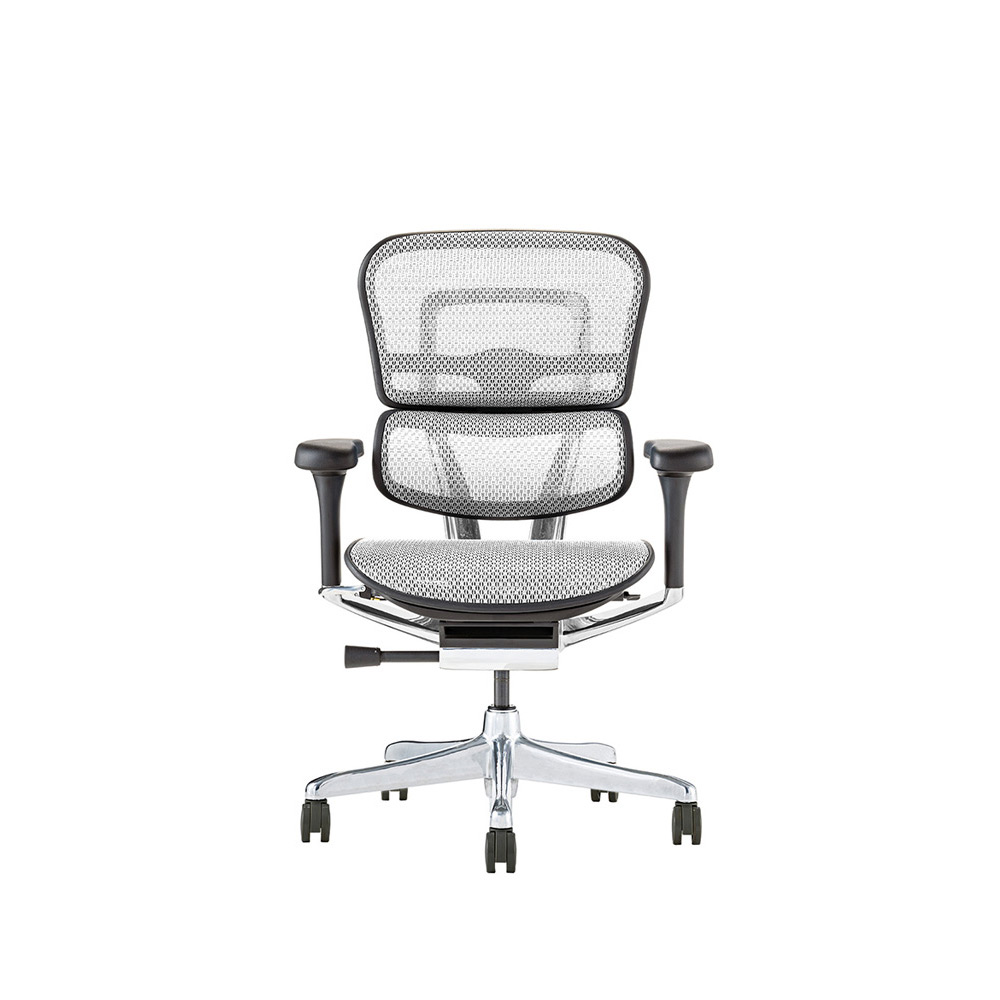 Ergohuman PRO2 Low Type BK frame / Ergohuman（エルゴヒューマン） / 高機能チェア / EHM90022_dt_02.jpg