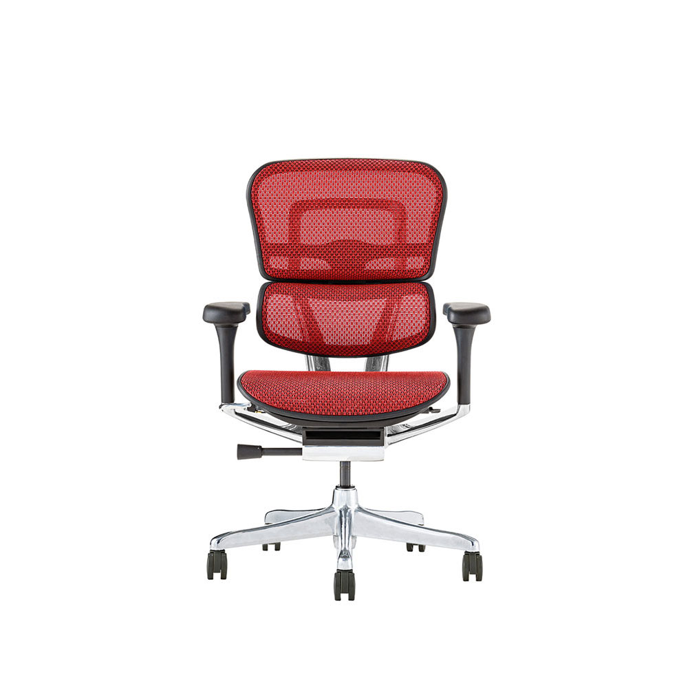 Ergohuman PRO2 Low Type BK frame / Ergohuman（エルゴヒューマン） / 高機能チェア / EHM90022_dt_03.jpg