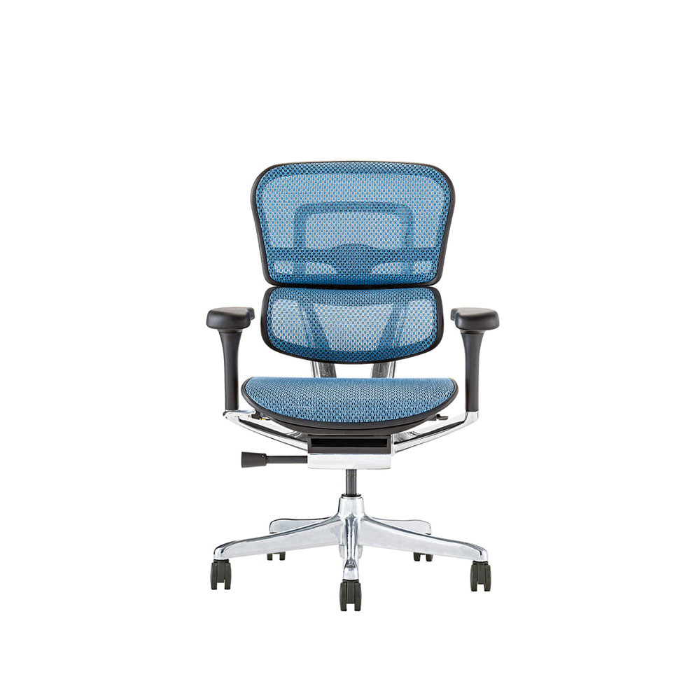 Ergohuman PRO2 Low Type BK frame / Ergohuman（エルゴヒューマン） / 高機能チェア / EHM90022_dt_04.jpg