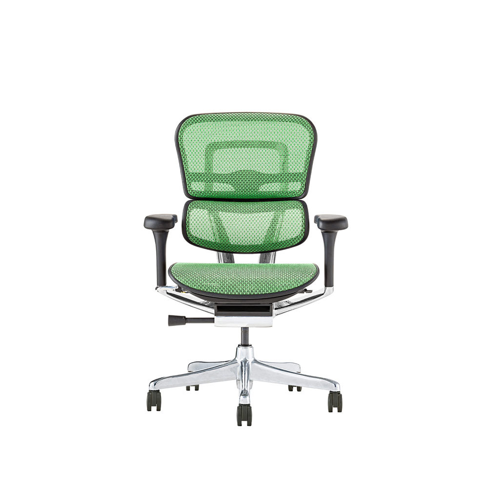 Ergohuman PRO2 Low Type BK frame / Ergohuman（エルゴヒューマン） / 高機能チェア / EHM90022_dt_05.jpg