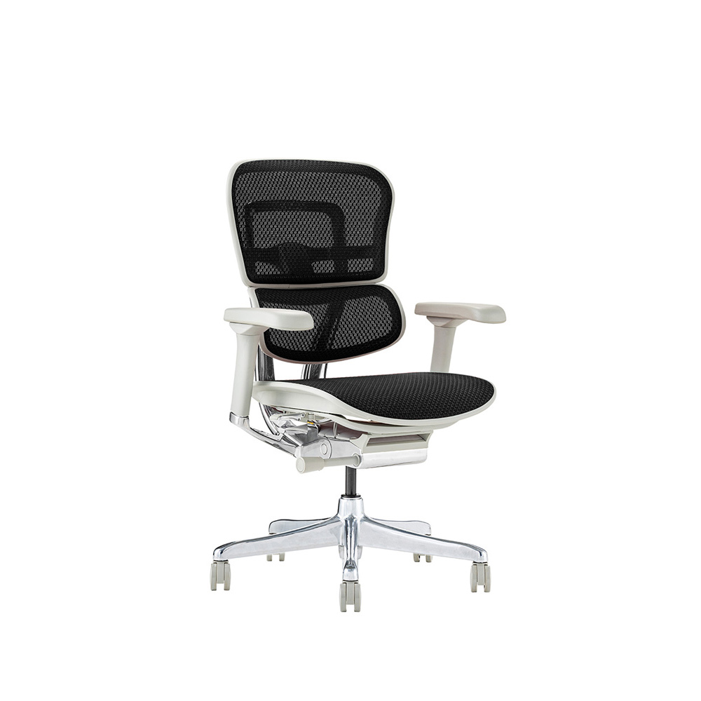 Ergohuman PRO2 Low Type GY frame / Ergohuman（エルゴヒューマン） / 高機能チェア / EHM90023BLK_ma.jpg
