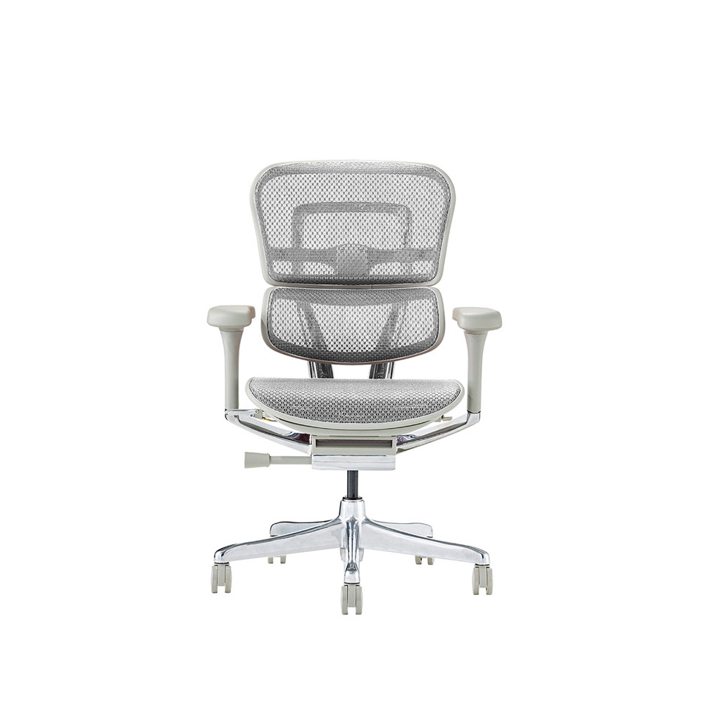 Ergohuman PRO2 Low Type GY frame / Ergohuman（エルゴヒューマン） / 高機能チェア / EHM90023_dt_01.jpg