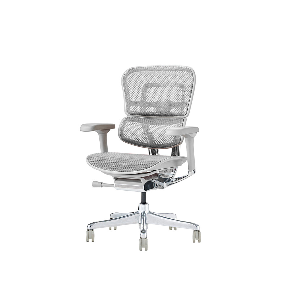 Ergohuman PRO2 Low Type GY frame / Ergohuman（エルゴヒューマン） / 高機能チェア / EHM90023_dt_03.jpg