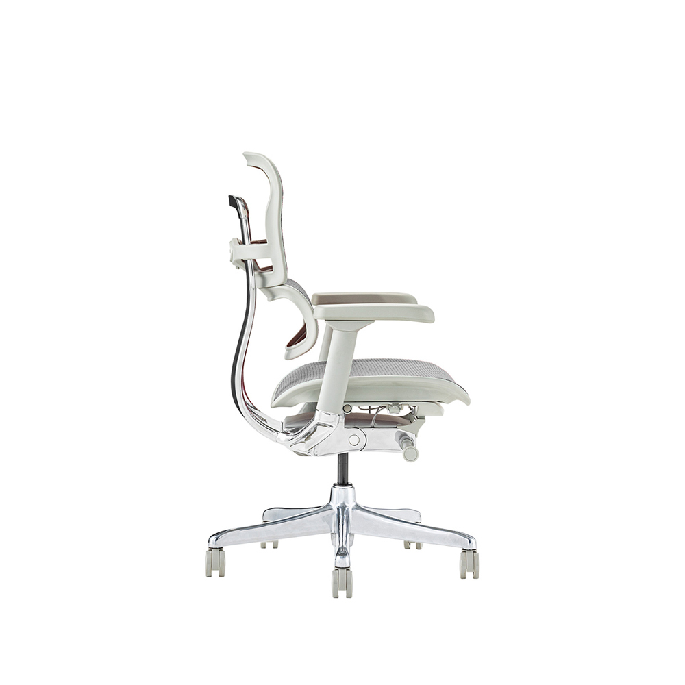 Ergohuman PRO2 Low Type GY frame / Ergohuman（エルゴヒューマン） / 高機能チェア / EHM90023_dt_04.jpg