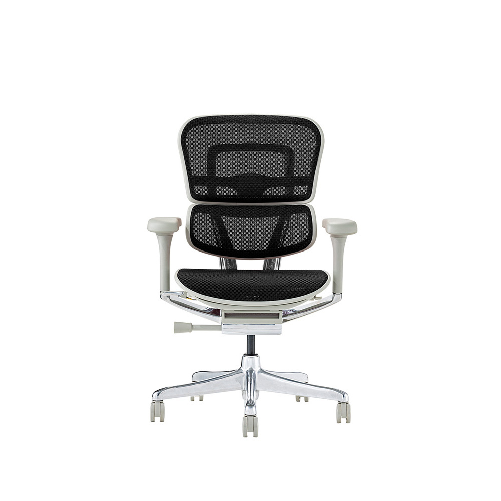Ergohuman PRO2 Low Type GY frame / Ergohuman（エルゴヒューマン） / 高機能チェア / EHM90023_dt_05.jpg