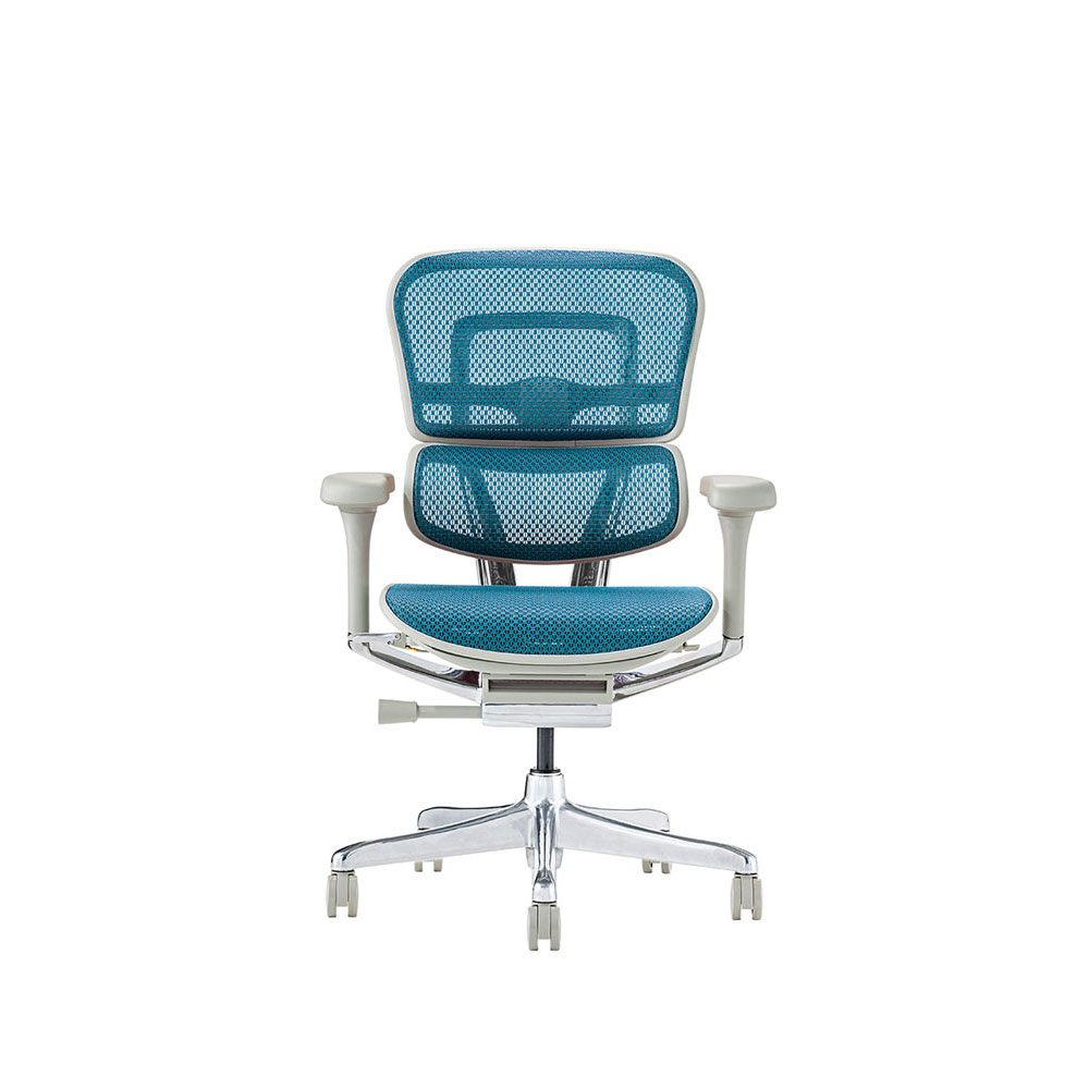 Ergohuman PRO2 Low Type GY frame / Ergohuman（エルゴヒューマン） / 高機能チェア / EHM90023_dt_10.jpg